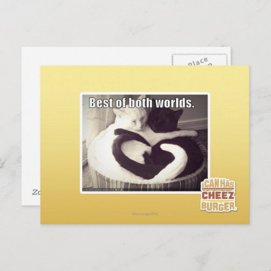 Het beste van twee werelden. briefkaart (Voorkant / Achterkant)