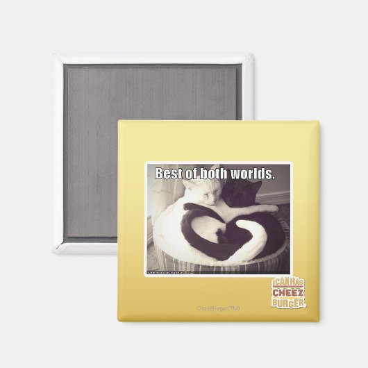 Het beste van twee werelden. magneet (Voorkant / Achterkant)