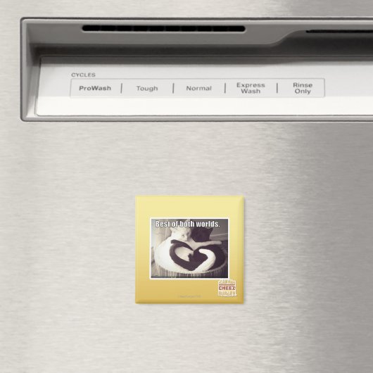 Het beste van twee werelden. magneet (Insitu (Vaatwasser))