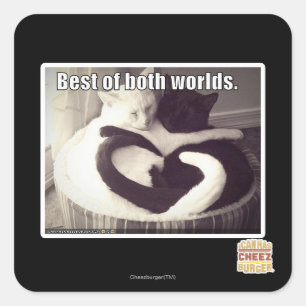 Het beste van twee werelden. vierkante sticker