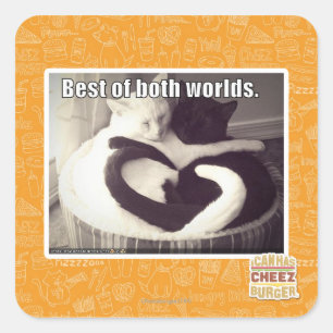 Het beste van twee werelden. vierkante sticker