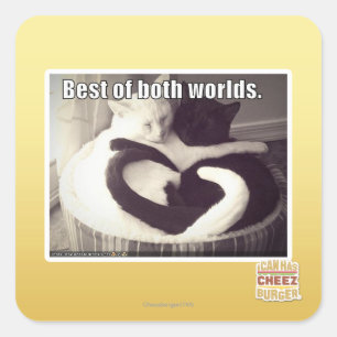 Het beste van twee werelden. vierkante sticker