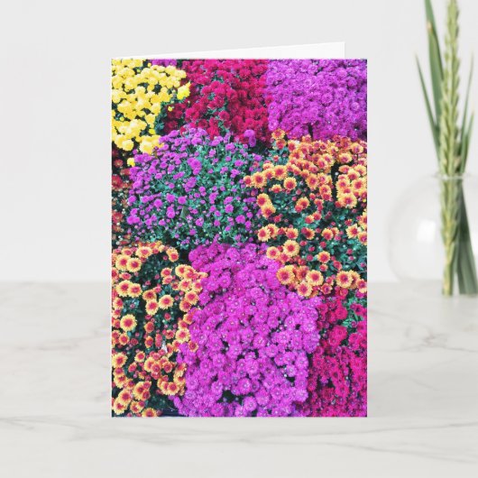 Het Beste Wenskaart van de brij Kaart (Voorkant)