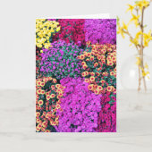 Het Beste Wenskaart van de brij Kaart (Gele Bloem)