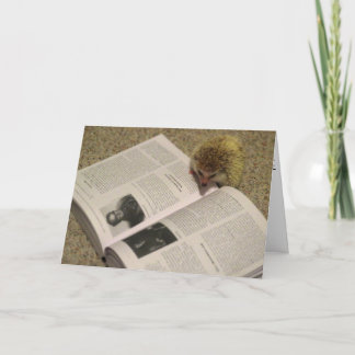 Het bestuderen van de Kaart van de Afstuderen van