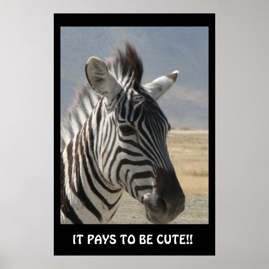 HET BETAALT OM TE WORDEN VERSNELD. POSTER (Voorkant)