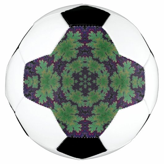 Het betoverde varenwiel voetbal (Voorkant)