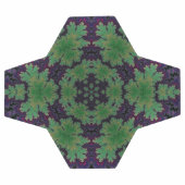 Het betoverde varenwiel voetbal (Enkel)