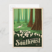 Het betoverende zuidoosten | Verenigde Staten Briefkaart (Voorkant / Achterkant)