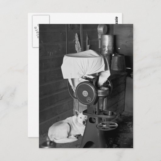 Het bewaken van de Cream Separator, 1936 Briefkaart (Voorkant / Achterkant)