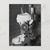 Het bewaken van de Cream Separator, 1936 Briefkaart (Voorkant)