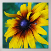 Het bewaken van de schoonheid poster (Voorkant)