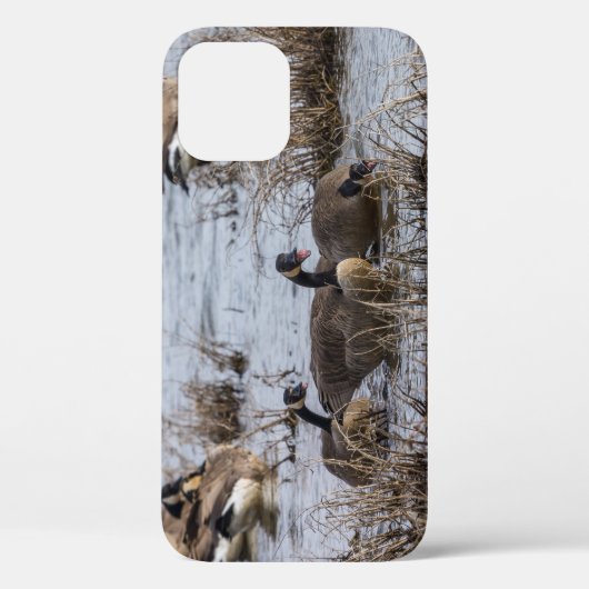 Het bewegen in iPhoneCase Case-Mate iPhone Case (Achterkant)
