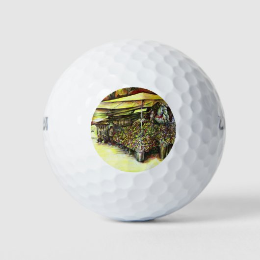 Het bezit van Optices Golfballen (Voorkant)