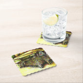 Het bezit van Optices Kartonnen Onderzetters (Insitu)