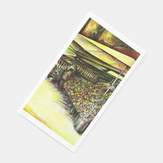 Het bezit van Optices Servet (Hoek)