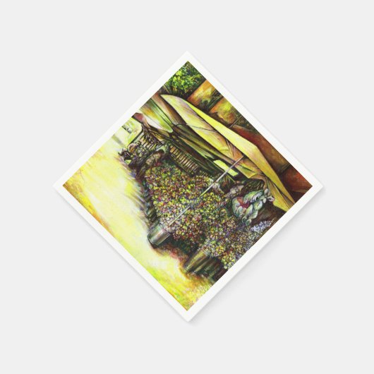 Het bezit van Optices Servet (Hoek)