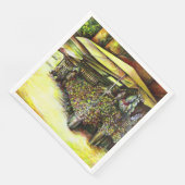 Het bezit van Optices Servet (Hoek)