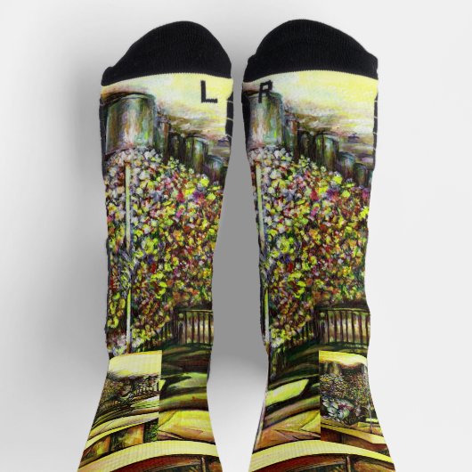 Het bezit van Optices Sokken (Top)