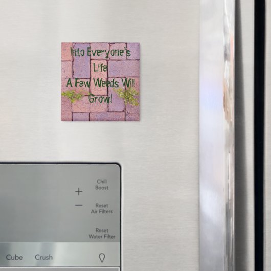 Het bezit van Stenen Weed in de Foto van de Wandel Magneet (Insitu (Koelkast))