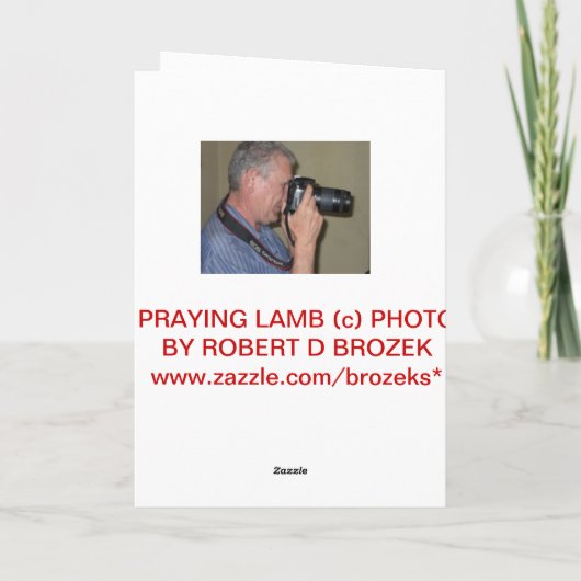 Het BIDDEN de Kaart van de Verjaardag van het LAM (Achterkant)