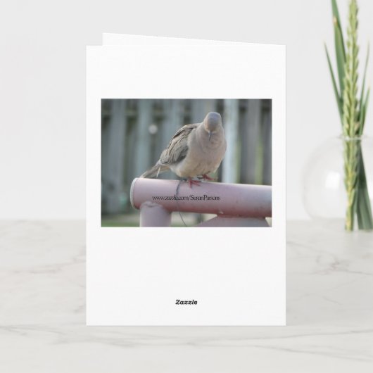 Het bidden Duif Kaart (Achterkant)