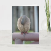 Het bidden Duif Kaart (Voorkant)