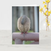 Het bidden Duif Kaart (Gele Bloem)