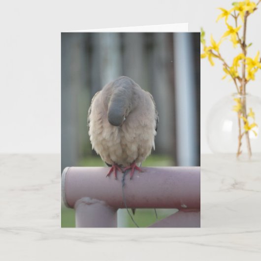 Het bidden Duif Kaart (Gele Bloem)