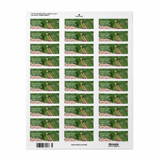 Het bidden Mantis omhoog Dichte Adres van de Natuu Etiket (Full Sheet)