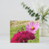 Het bidden van Mantis Het ontleden van een Moth Briefkaart (Staand voorkant)