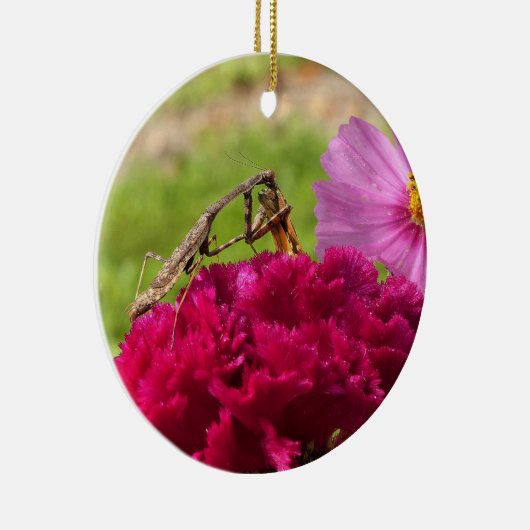 Het bidden van Mantis Het ontleden van een Moth Keramisch Ornament (Rechts)