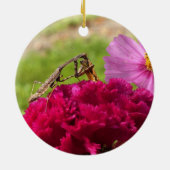 Het bidden van Mantis Het ontleden van een Moth Keramisch Ornament (Achterkant)