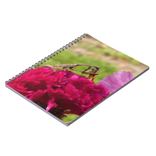 Het bidden van Mantis Het ontleden van een Moth Notitieboek (Linkerzijde)