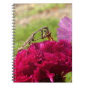 Het bidden van Mantis Het ontleden van een Moth Notitieboek (Voorkant)