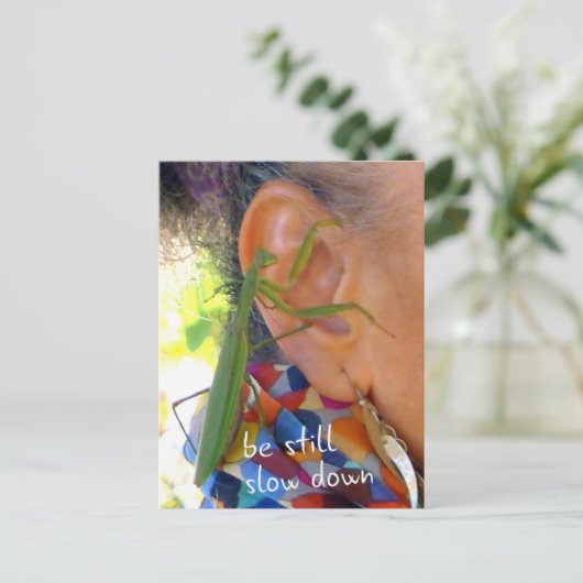 Het bidden van Mantis - wees stil, langzamer - bri Briefkaart (Staand voorkant)