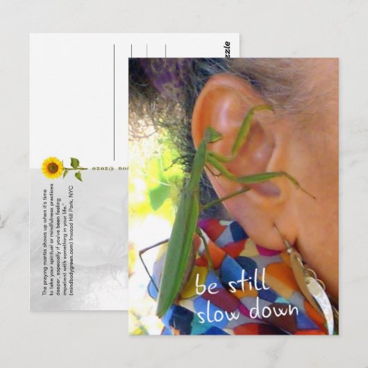 Het bidden van Mantis - wees stil, langzamer - bri Briefkaart (Voorkant / Achterkant)