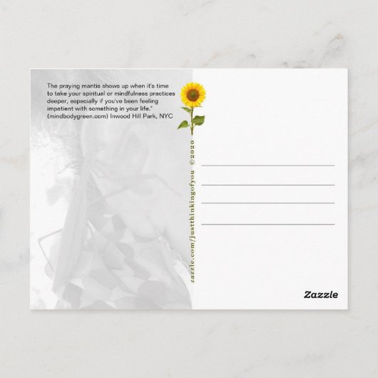 Het bidden van Mantis - wees stil, langzamer - bri Briefkaart (Achterkant)