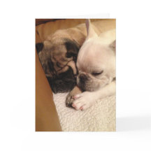 Het bidden voor een snelle terugwinning