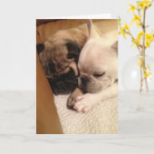 Het bidden voor een snelle terugwinning kaart (Gele Bloem)