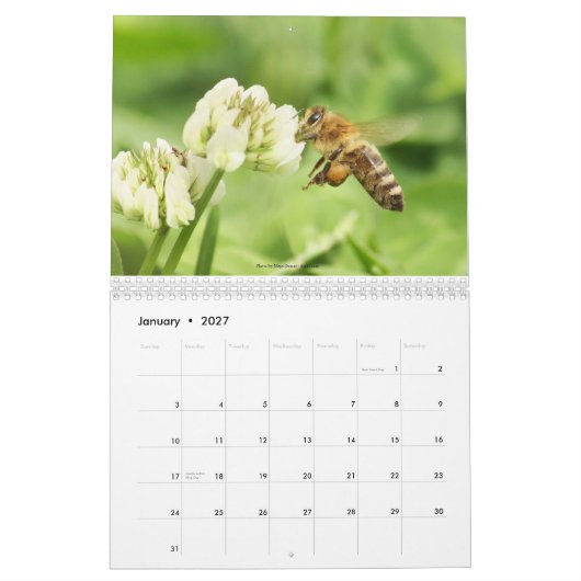 Het bijenrooster 2013 kalender (Jan 2027)