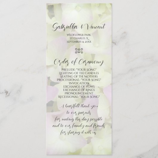 Het bijna-roze weddenschapsprogramma Hydrangea Programmakaart (Voorkant)