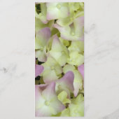 Het bijna-roze weddenschapsprogramma Hydrangea Programmakaart (Achterkant)