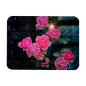 Het binden Flexibele Magnet van de Foto Magneet (Horizontaal)