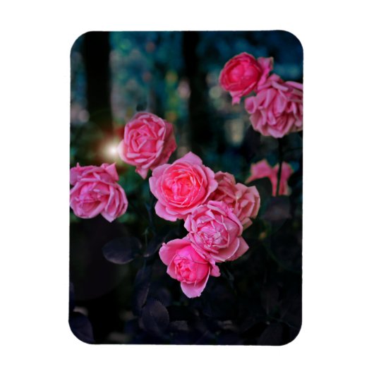 Het binden Flexibele Magnet van de Foto Magneet (Verticaal)