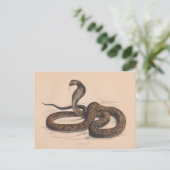 Het biologische Briefkaart Cobra (Staand voorkant)