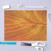 Het Blad van Canna Tissuepapier (Craft)