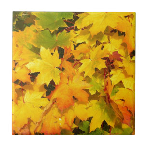 Het Blad van de herfst kleurt de Viering van het L Tegeltje