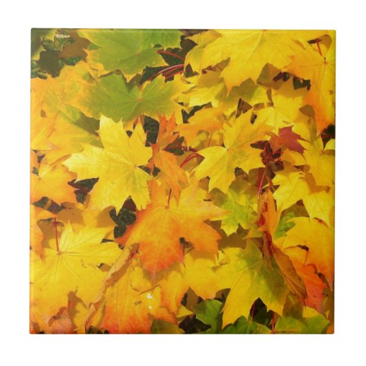 Het Blad van de herfst kleurt de Viering van het L Tegeltje (Voorkant)