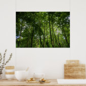 Het bladerdak van Woodland. Bossen van Blackweir,  Poster (Keuken)